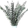 Noaxylic 12 Pezzi Eucalipto Essiccati Steli 45cm, Foglie di Eucalipto Artificiali, Foglie Verdi per Composizioni Floreali, per Composizioni Floreali, Decorazione per La Casa, Feste di Nozze