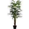 DRW Pianta artificiale di un bambù in acrilico, melammina e plastica in verde 180x80x80cm