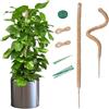 Mcbazel 2 Pezzi di Tubi in Muschio di Cocco Flessibili da 70 cm per Piante Rampicanti con Legacci, Tuteur Ideale per Monstera, Pothos e Piante in Vaso da Interno.