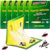 Orrdiffi 6 x Trappole per Scarafaggi - Trappole Adesive Potenti Atossiche Anti Insetti,Sicure e Facili da Usare,Efficaci Contro Scarafaggi e Formiche,Ideali per Casa,Cucina,Bagno,Soggiorno,Camera da Letto