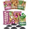 ZenGreens® - Set di Semi di Cipolla e Porro bio (6 pezzi) - 6 Semi di Cipolla e Porro per Coltivazione Facile in Giardino, Balcone o Serra - Semi da Piantare - Sementi