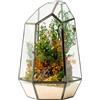 WabiFlur Terrario Stabilizzato Hyde in Vetro Forma Diamond, completi di Fiori e muschi Stabilizzati Arredo Naturale Elegante Senza Manutenzione per Casa, Ufficio e Idee Regalo Green