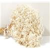 KAOHONG Fiori secchi Bouquet Gypsophila Essiccata 17 pollici 7000+ fiori bianchi avorio, rami di Naturale Gypsophila Fiori Secchi per ghirlande fai-da-te, casa, matrimonio, tavolo, decorazioni per vasi