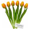 MIJOMA Tulipani artificiali, fiori artificiali, Real Touch, decorazione da tavolo (6 pezzi, lunghezza 27 cm, arancione-verde)