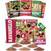 ZenGreens® - Set di Semi di Ravanello bio (6 pezzi) - 6 Semi di Ravanello e Ravanelli per Coltivazione Facile in Giardino, Balcone o Serra - Semi da Piantare - Sementi