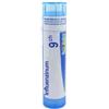 BOIRON SRL INFLUENZINUM 9CH GL 1DO
