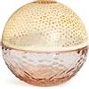 MAISON BERGER Lampe Berger - Maison Berger Gravity Nude Lampada Catalitica Design Prezioso ed Elegante - con Cofanetto Regalo-