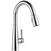 DELTA Rubinetto Essa Singola Maniglia Rubinetto Lavello Della Cucina con Tirare Giù Spruzzatore e Magnetico Docking Testa Spruzzo, Cromo 9113-DST