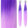 Dalababa 2 Pezzi Extension Capelli Colorati Bambina, Extension Coda Finta Capelli Colorate con Fascia Elastica, Coda di Cavallo Sintetiche Accessori per Ragazze Donne Partito Festival