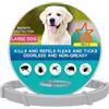 Tempotech Collare Antiparassitario Preventivo Tempotech Originale ® a Rilascio Lento per Cani e Gatti - 8 Mesi di Protezione - contro Pulci, Zecche, Zanzare, Acari, Pidocchi - Dewormer Cani (2 Unidades)