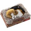 DRW Simulazione Cane Mini mutt con Suono in Bianco e Marrone 14x13x5,5 cm, Multi, estandar