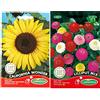 Germisem California Wonder Semi di Girasole 4 g & EC1621 Semi