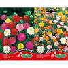 Germisem Lilliput Mix Semi di Zinnia 1.5 g & California Mix Semi 1.5 g