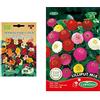Germisem Biologico Tropaeolum Majus Nanum Semi di Nasturzio 3 g & EC1621 Semi