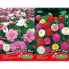 Germisem Sensation Tall Mix Semi di Cosmos 2 g & EC1621 Semi