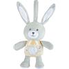 Chicco Coniglietto Polvere di Stelle First Dreams, Pupazzo con Luce Notte Morbido con laccetti per agganciarlo, Con Luci soffuse e Suoni, 15 Minuti di Melodie, Lavabile in Lavatrice, 0 mesi+