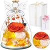 Touloube Festa della Mamma Rosa Stabilizzata Vera Regalo, Regalo Rosa Eterna con Angelo e Luci LED, Regalo Compleanno Anniversario San Valentino per Fidanzata, Moglie, Mamma, Donna, Madre, Nonna