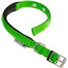 Ferplast Collare Cane Taglia Piccola Collare per Cani in Nylon Imbottito Regolabile Fibbia Metallica, Misura Collo 23-31 cm, Verde