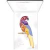 Pupa Parrot Cofanetto make-up 001 Samba