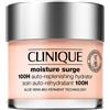 Clinique Clinique Moisture Surge 100H Auto-Replenishing Hydrator 75ml
