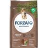 FORZA10 CANE MAINTENANCE ADULT MEDIUM AGNELLO E RISO DA 12 KG 12KG