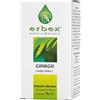 Erbex Ginkgo 380mg 100 Capsule