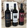 The Brothers - Bordeaux Vino Discovery Box - AOC Saint Emilion Grand Cru - Montagne Saint Emilion - Castillon Côtes de Bordeaux