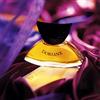 Yves De Sistelle Doriane 60ml EDP