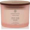 Chesapeake Bay Candle Chesapeake Bay candela profumata | Candela Tumbler Stillness + Purity a 3 stoppini per aromaterapia | Durata: fino a 24 ore | Collezione Mind & Body