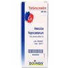 LABORATOIRES BOIRON Srl AESCULUS HIPPOCASTANUM TINTURA MADRE 60 ML