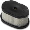 MAXPOWER Filtro e prefiltro dell'Aria Adatto per Briggs&Stratton - Numero di Riferimento 4197, 497725, 5055, 495486