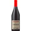 Jeff Carrel Le Fiston 2024 - Jeff Carrel