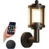 Tuya Applique Vintage a LED da Esterno Smart WiFi e Bluetooth RGBCW