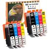 LOSMANN D&C Cartucce Compatibili d'inchiostro Sostituzione per HP 364 364XL per Photosmart 5520 5510 6510 6520 5511 5524 B010a HP Deskjet 3070A 3520 3522 3524 HP Officejet 4620 4622 4610 (8-Pack)