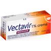 Vectavir 1% Crema Antivirale Penciclovir 2 g