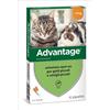 Advantage 40 mg Soluzione Antiparassitaria Spot-On Gatti e Conigli Piccoli 4 Pipette