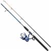 DAM FP2 Boat Spinning Combo, Boat Combo, 180 100-250 7000 0,45 Combo