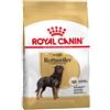 Royal Canin Rottweiler Adult : Formato - 12kg.