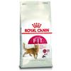 Royal Canin Fit 32 : Formato - 400gr.