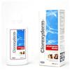 ICF Clorexyderm shampoo forte : Formato - 250ml.