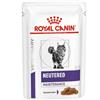 Royal Canin Neutered adult maintenance feline : Formato - 85gr.