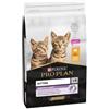 Purina Pro Plan Kitten Healthy Start (pollo) : Formato - 1,5kg.