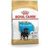 Royal Canin Rottweiler Junior : Formato - 12kg.