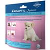 Adaptil Collare Junior : Misura - 37,5cm.