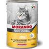 Morando Professional Adult Cat Paté (pollo e tacchino) : Formato - 100gr.