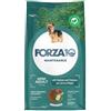 Forza 10 Maintenance Mini al cervo e patate : Formato - 2kg.