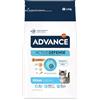 Advance Kitten Pollo : Formato - 1,5kg.