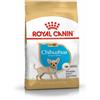Royal Canin Chihuahua Puppy : Formato - 500gr.