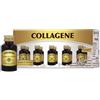 DR.GIORGINI SER-VIS Srl collagene liquido analcolico 10 flaconcini x 50 ml