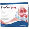 AGAVE Srl FLEXART FLOGO 14 BUSTINE NUOVA FORMULAZIONE